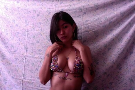 miaumiau perfect star archive