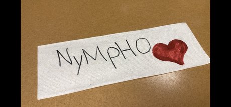 Y0ung Nympho best model img