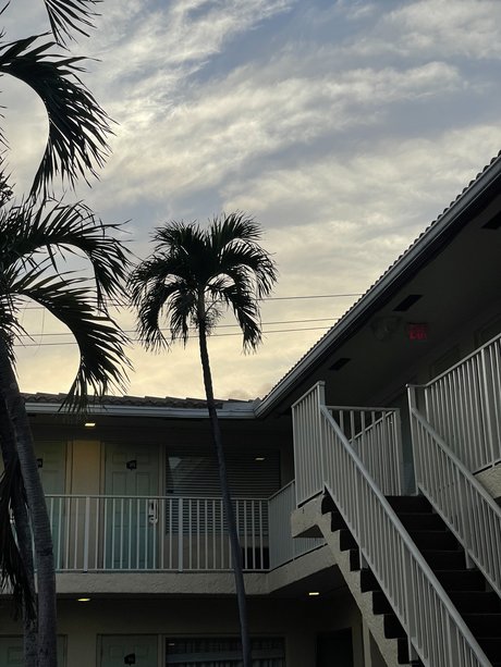 The Homoscorpion pornstar perfect gallery