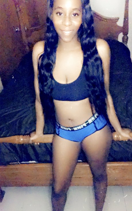 Lacola star free images