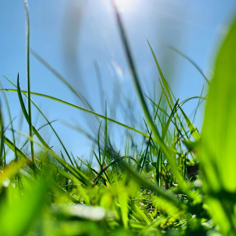 BenTooling xxx model picture