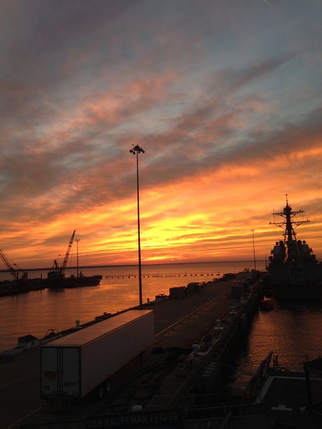 Tattooedsaylor sexy pornstar gallery