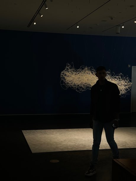 David Orz profile pic