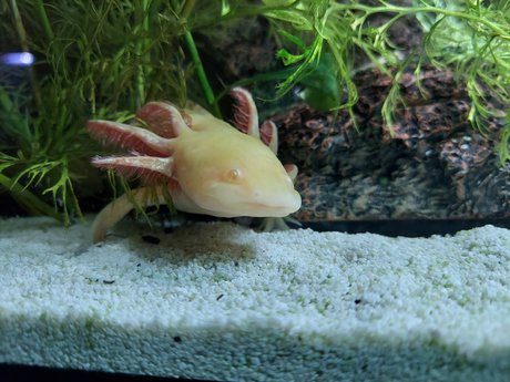 OnlyFishFans model pornographic pics