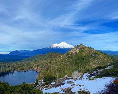 Northern California star high quality pictures