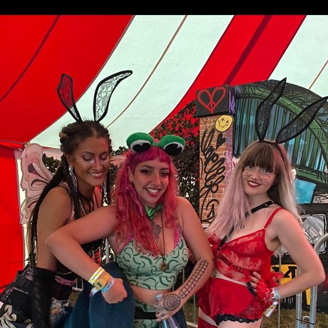 _The Naughty Fairies_ art star pics