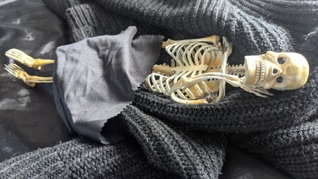 Dead Sexy Bones exclusive star image