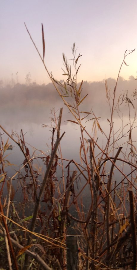 Guns and Ammo free pornstar archive