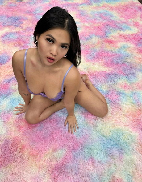 willow west star hd photos