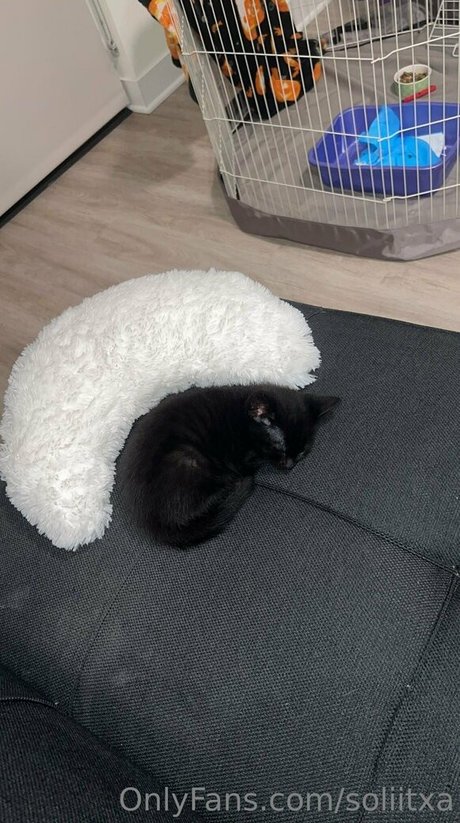 soliitxa pornographic star archive