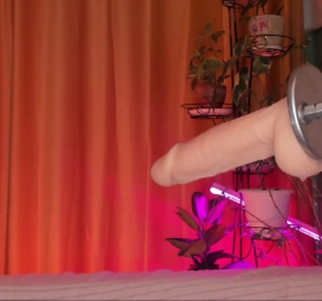 Aplaceforustodream high quality pornstar galleries