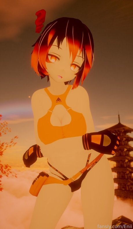 Enii model top photo