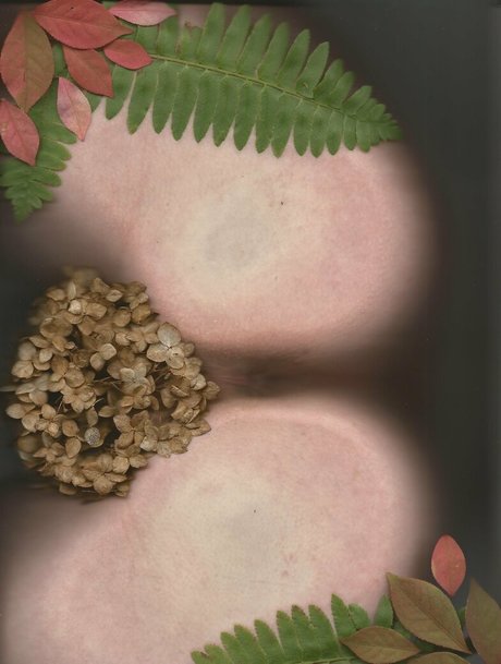 bb apathy pornstar perfect images