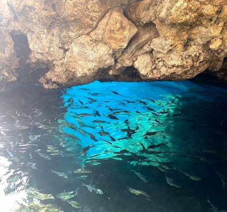 Monica Gonzalez pornstar sexy galleries