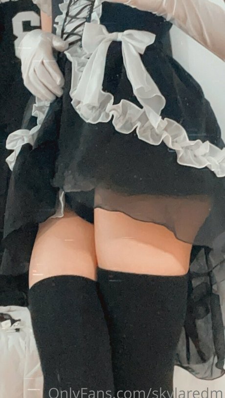 skylaredm best model archive