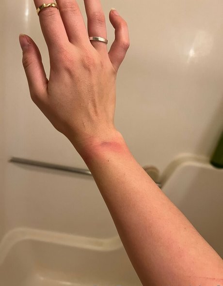 copiekat8 porn star galleries