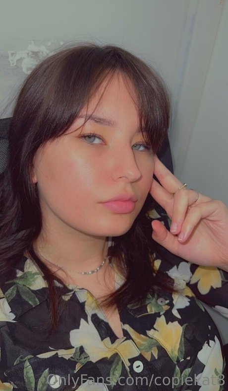 copiekat8 pornstar art archive