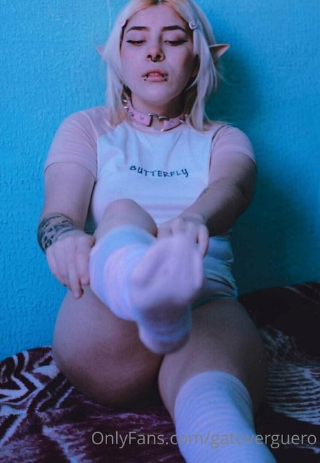 gatoverguero xxx pornstar images