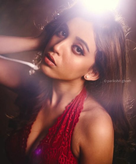 Rajasree model art gallery