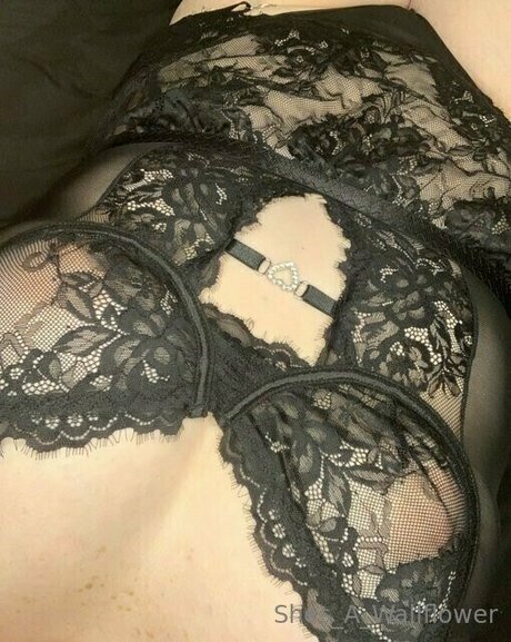 shes a wallflower star hd images