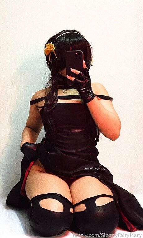 SleepyFairyMary art star image