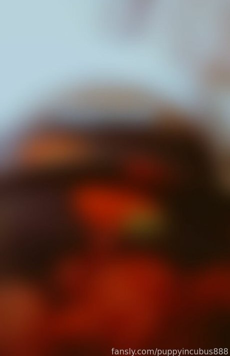 puppyincubus888 star archive