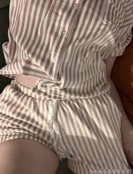 BinoVT model nice gallery