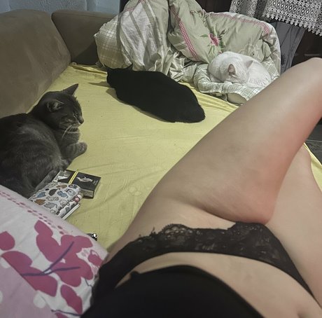 Egem V high quality star pic