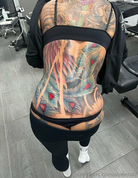 alpheratz star adult img