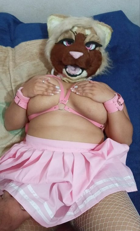 Softskitten star free galleries