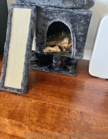 naty brown10 xxx actress image