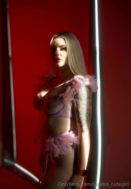 misss sandra vip nudes model image