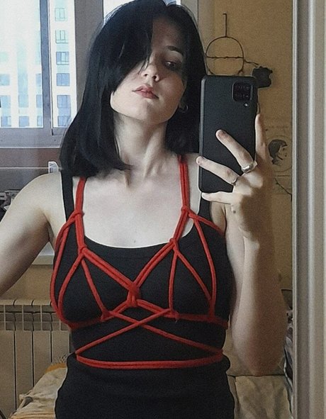 julsfuckwilton art star galleries