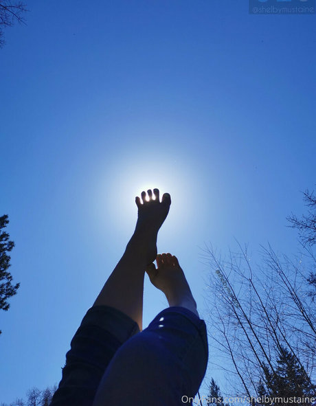 shelbymustaine pornstar high quality img