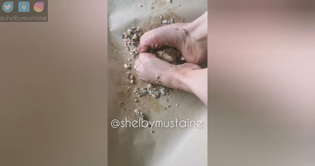 shelbymustaine star free gallery