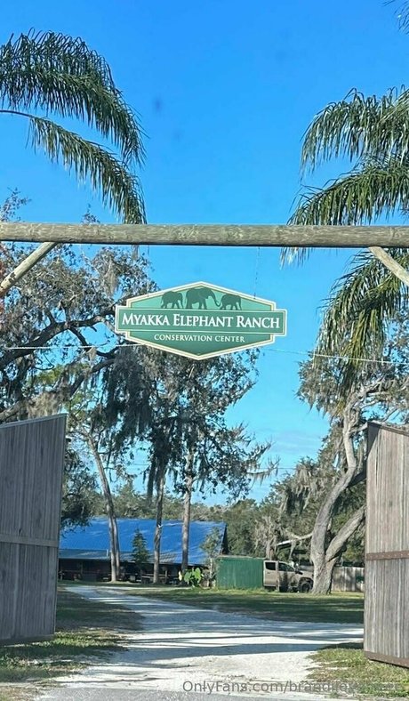 brandilovefreee porn model archive