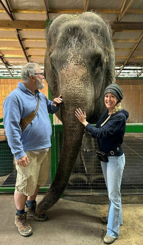 brandilovefreee star nude galleries