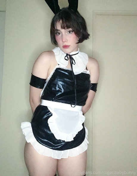 sugarbbunny star hd archive