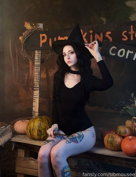 sibmouse pretty model pic