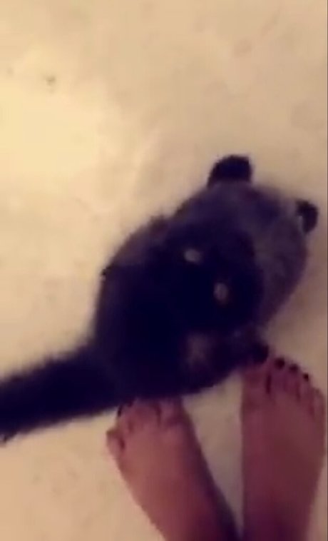 Trickywi naked pornstar pic