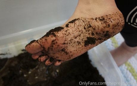 theprestigefeet pornographic model galleries