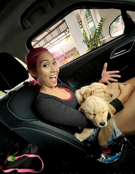 wildcmk pornstar xxx pics