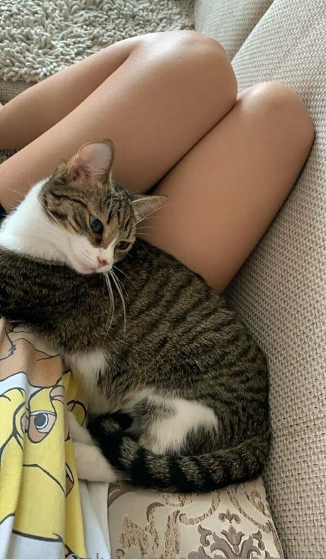 melissakatteyes hot star photos