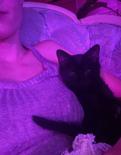 lola costa perfect star gallery