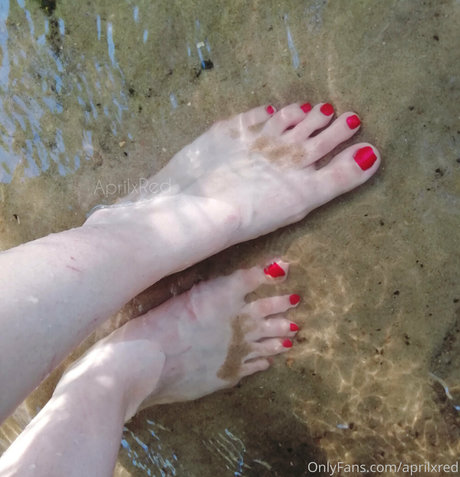 aprilxredfree adult actress img