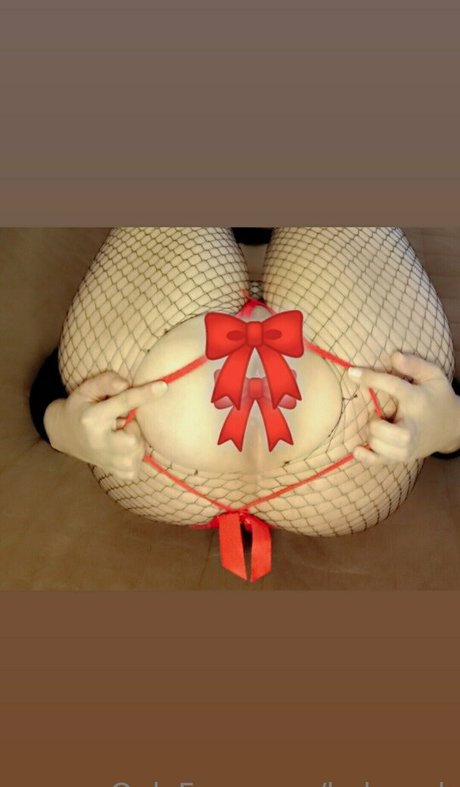 ladypork free pornstar picture