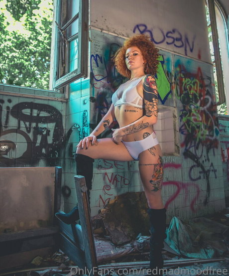 redmadmoodfree star galleries