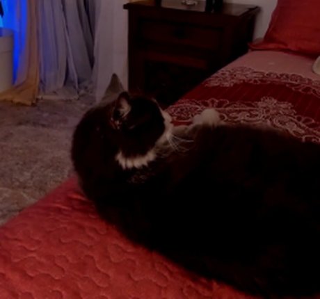 Recurbate S nude model pictures