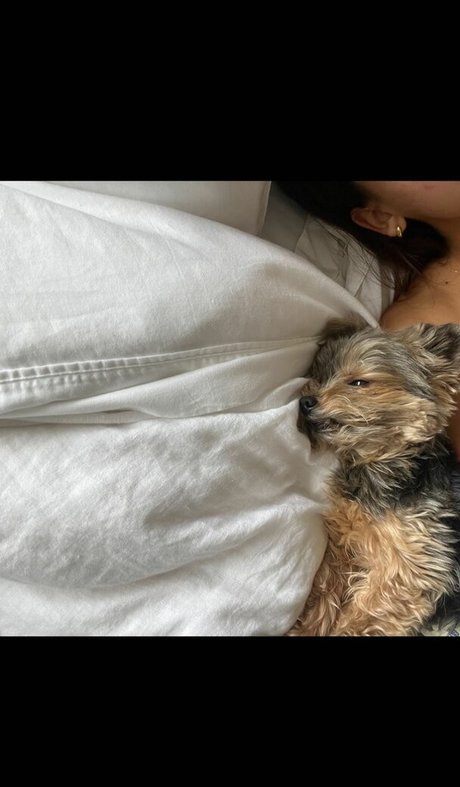 Izabella Alvarez hot pornstar pic