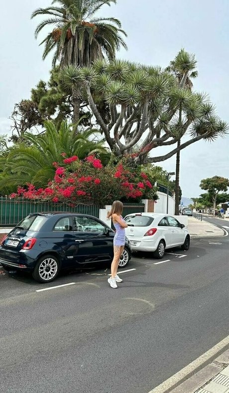 aliss foxy naked pornstar gallery